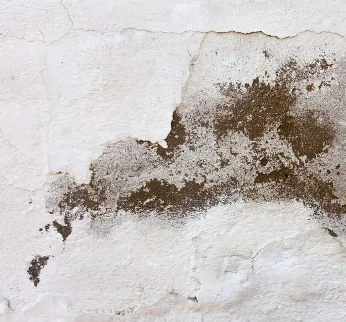 plafond avec trace d’humidité à Marseille